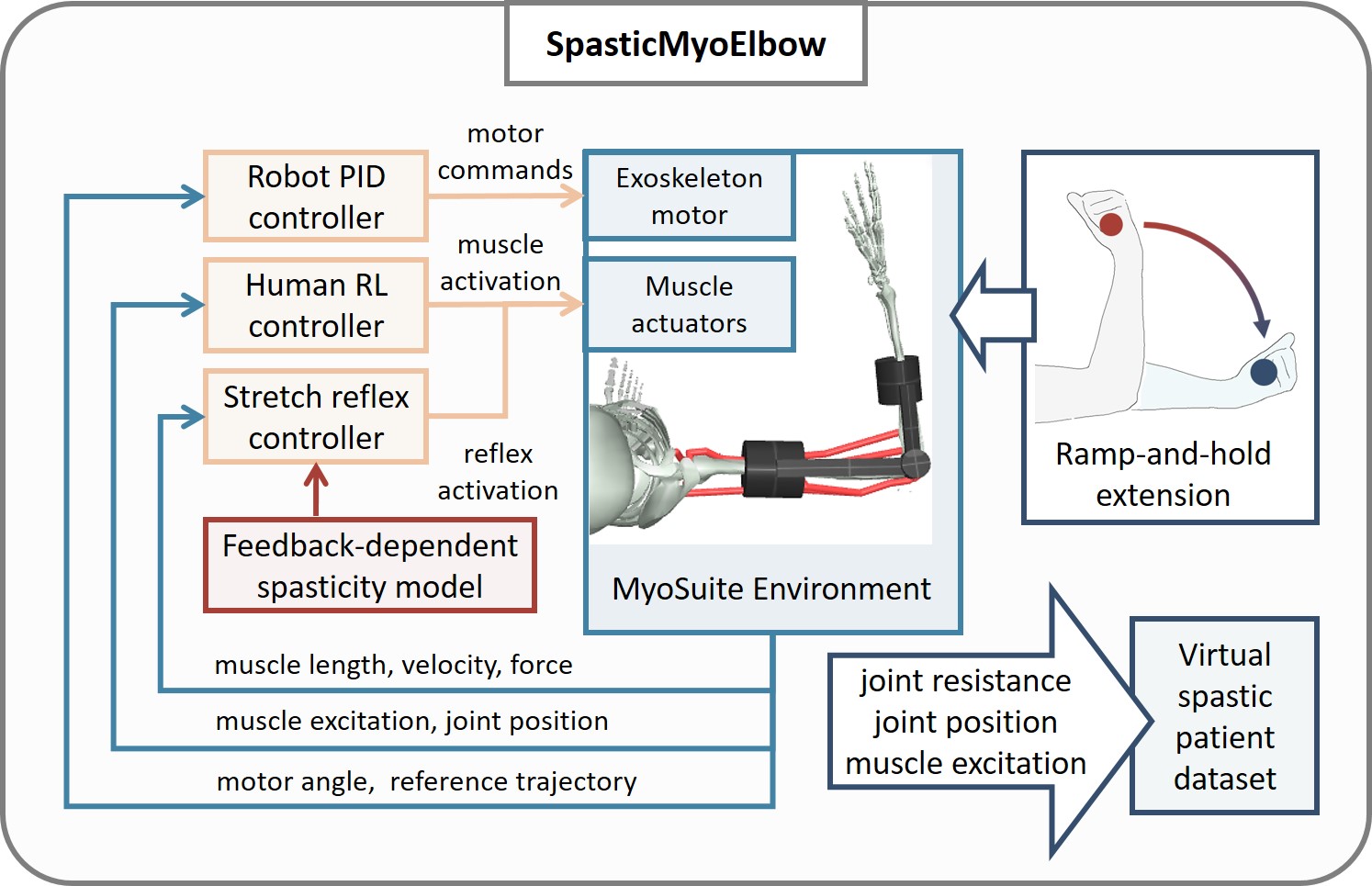 SpasticMyoElbow — 論文の図版