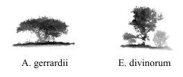 PCTreeS — 論文の図版