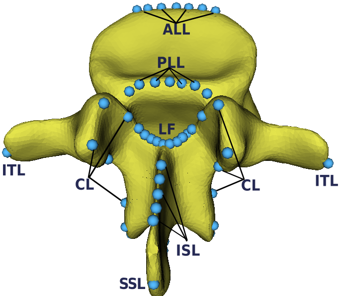 Spinal ligaments detection on vertebrae meshes using registration and 3D edge detection — 論文の図版