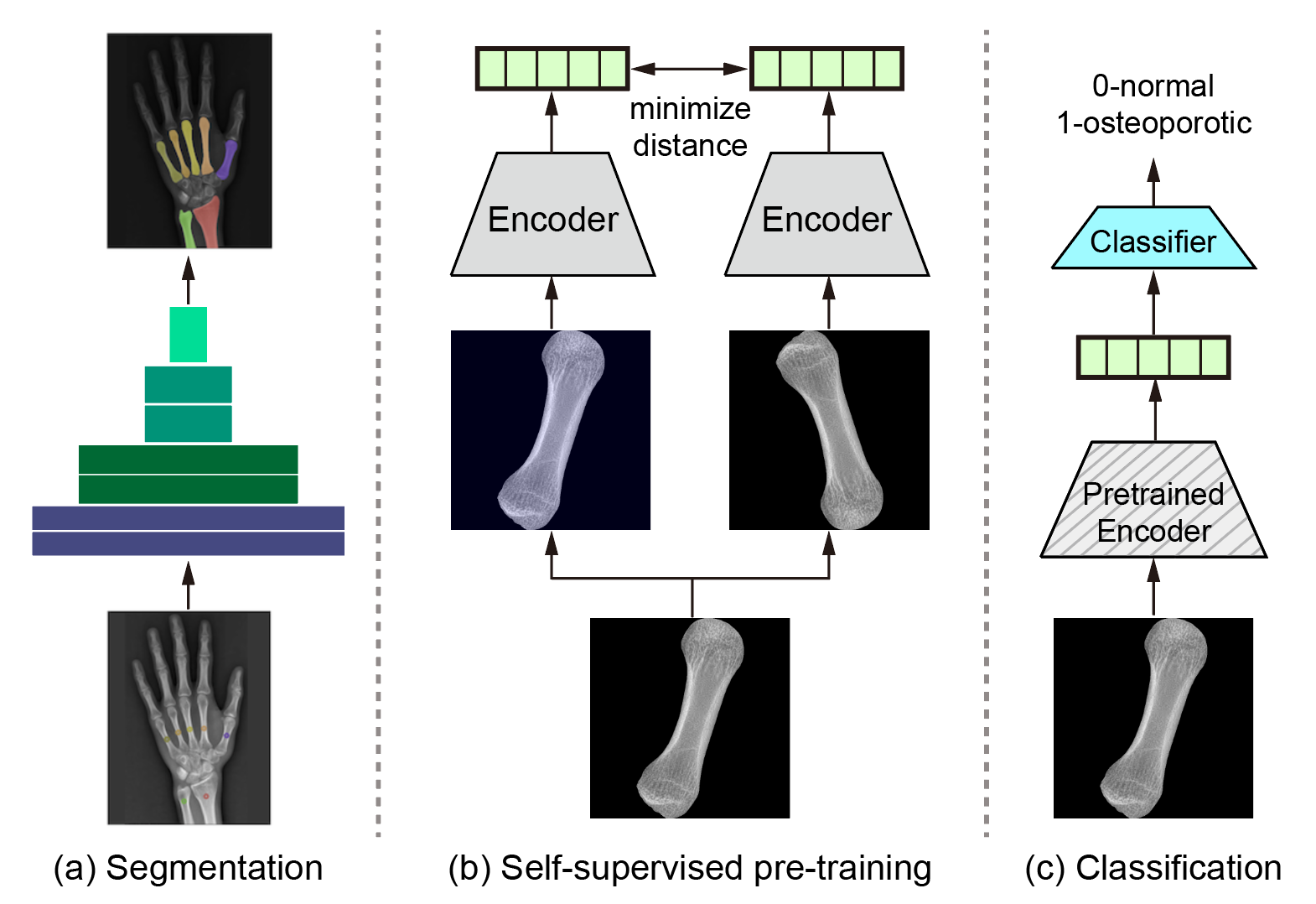 Segmentation-for-Classification and Self-Supervised Learning — 論文の図版
