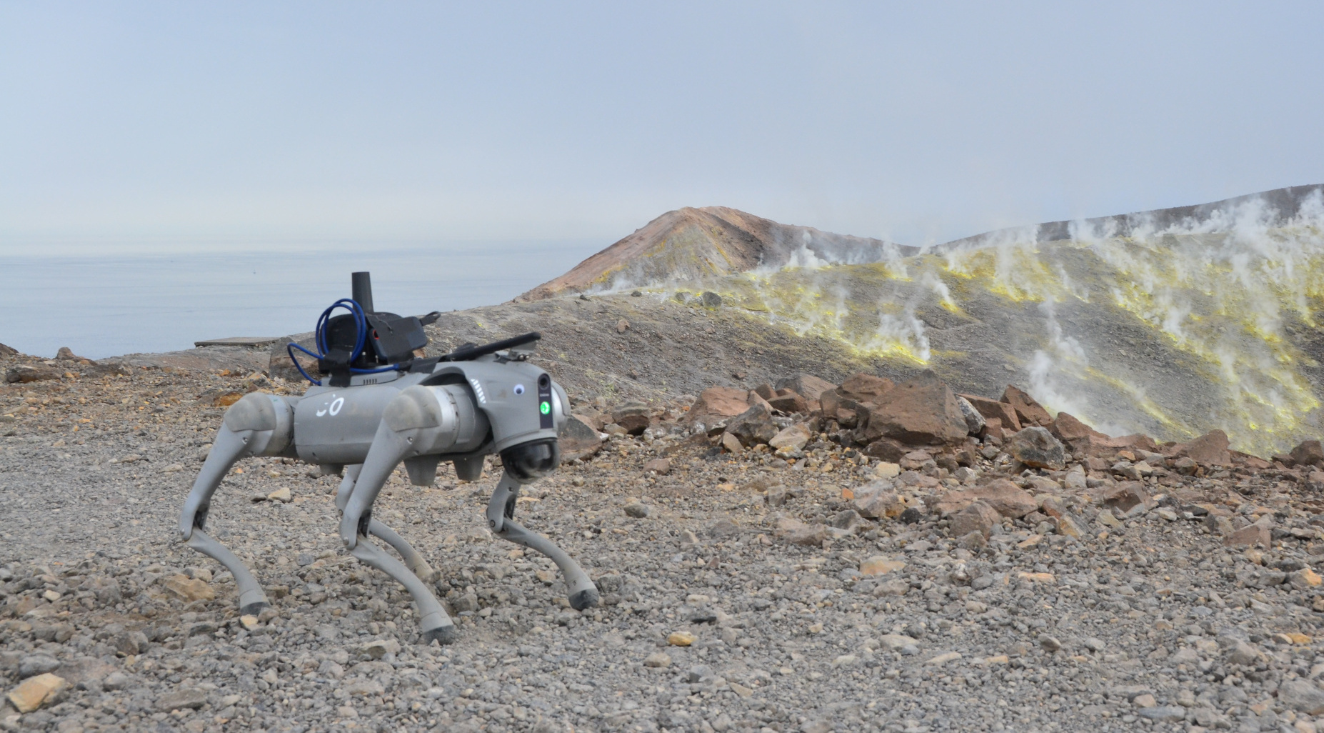 Benchmarking Different QP Formulations and Solvers for Dynamic Quadrupedal Walking — 論文の図版