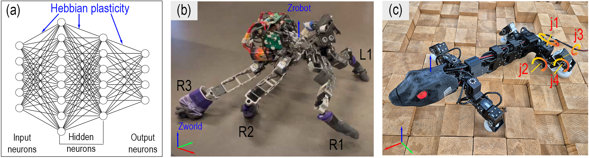 Bio-Inspired Plastic Neural Network with Weight Normalization — 論文の図版