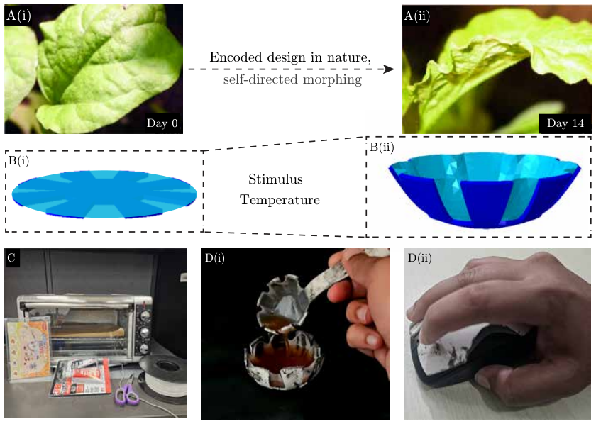 Directed Shape Morphing using Kirigami-enhanced Thermoplastics — 論文の図版