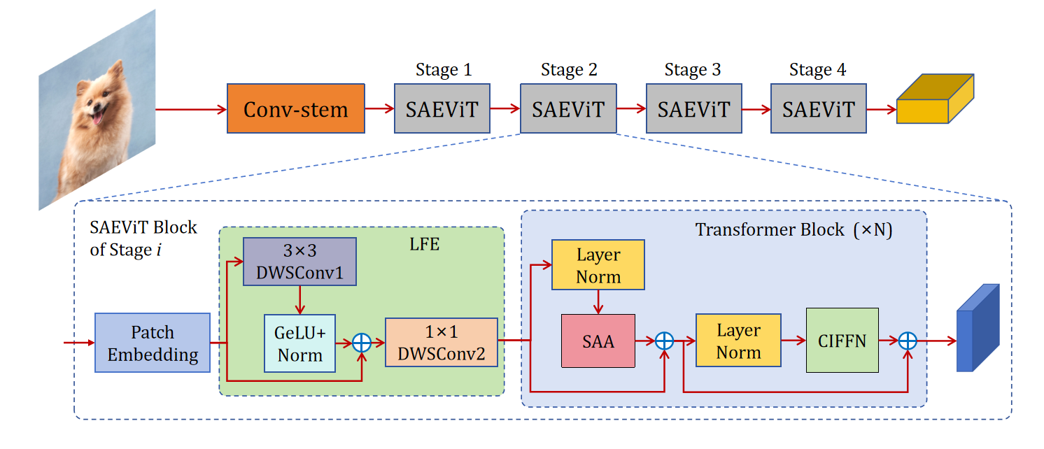 SAEViT — 論文の図版