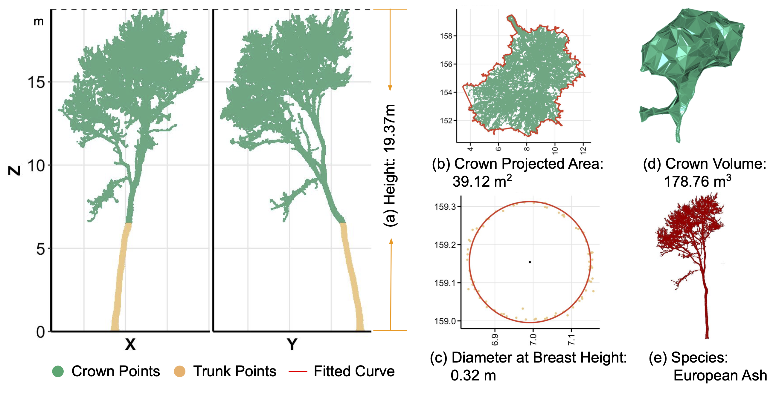 Synthetic Forest LiDAR Pretraining — 論文の図版