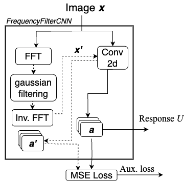 Frequency-Based and Contrastive Regularization — 論文の図版