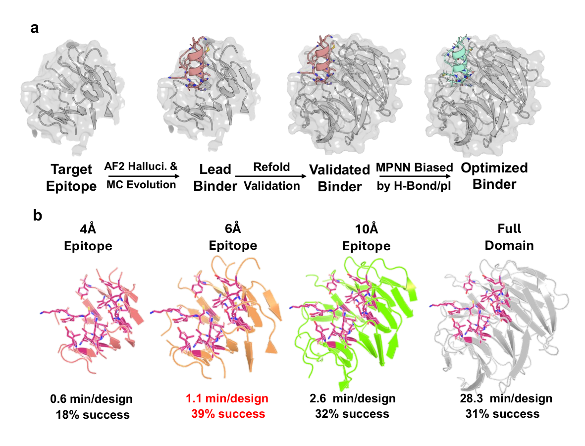 Epitope-only Binder Design — 論文の図版