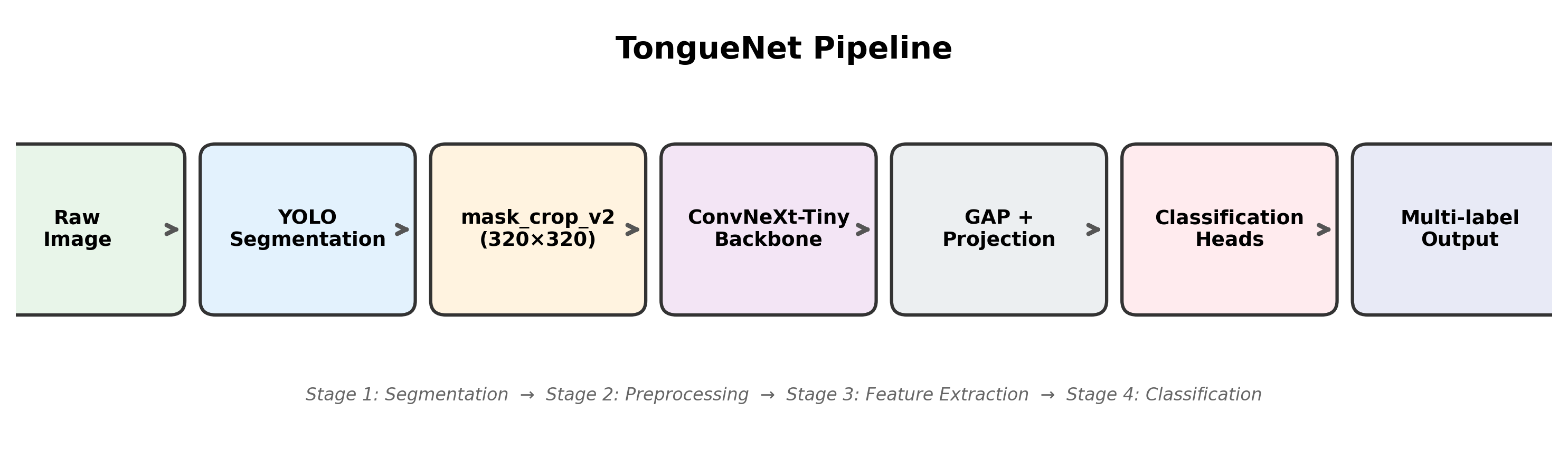 TCM Tongue Diagnosis Ablation Study — 論文の図版