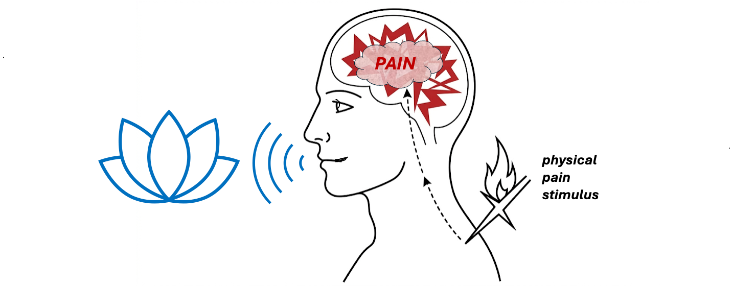 Five-level framework for assessing AI consciousness — 論文の図版