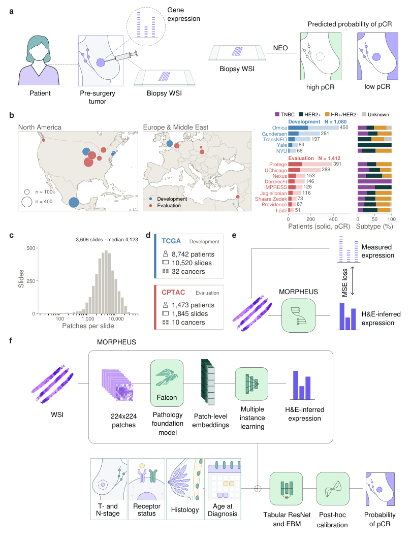 Transcriptome-informed Response Prediction — 論文の図版