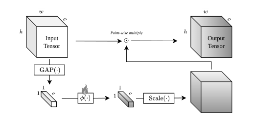Region Aware Squeeze-and-Excitation — 論文の図版
