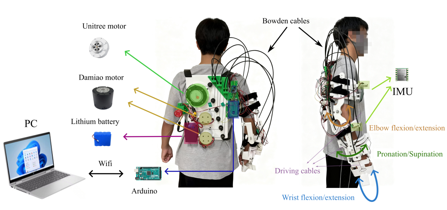 Attribution-Gated AAN — 論文の図版