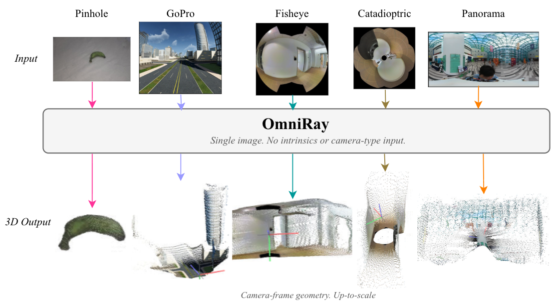 OmniRay — 論文の図版