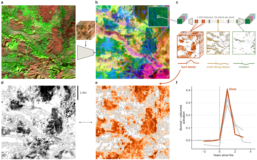 Earth Embedding Decomposition — 論文の図版